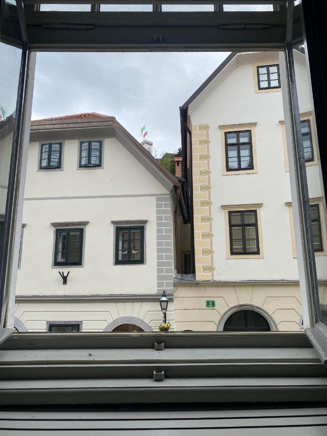 Vintage Charm Apartment Ljubljana Luaran gambar